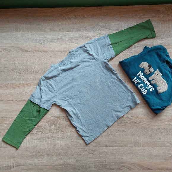 Gymboree 5T bear / hedgehog tees - Picture 14 of 16